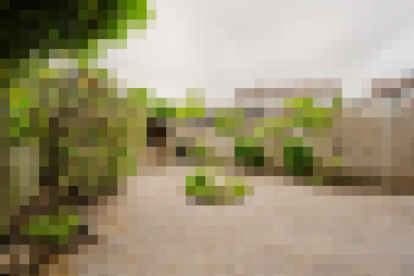 Ganzenhoek 12 Spijkenisse thumbnail 19