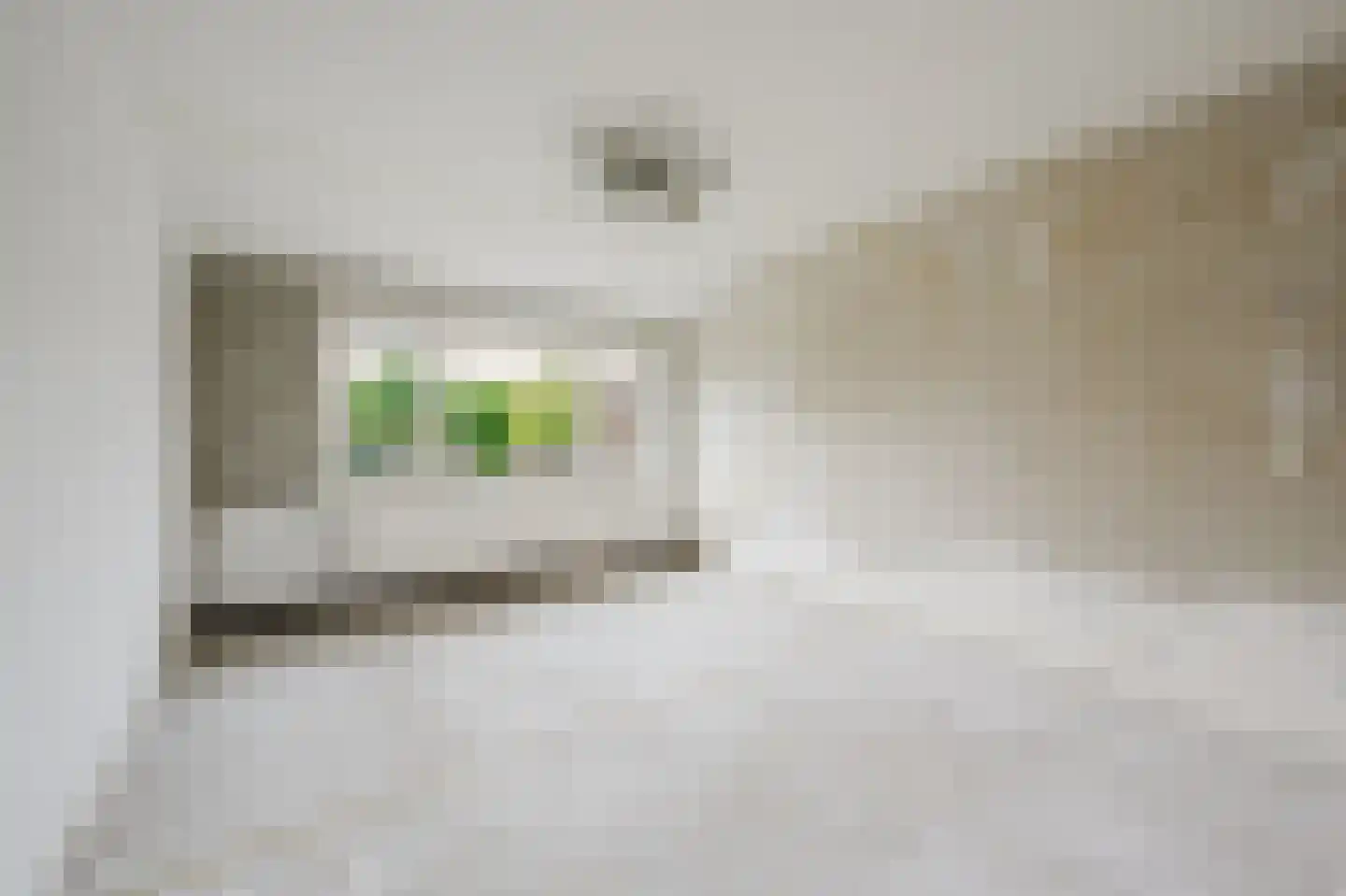 Ganzenhoek 12 Spijkenisse thumbnail 23
