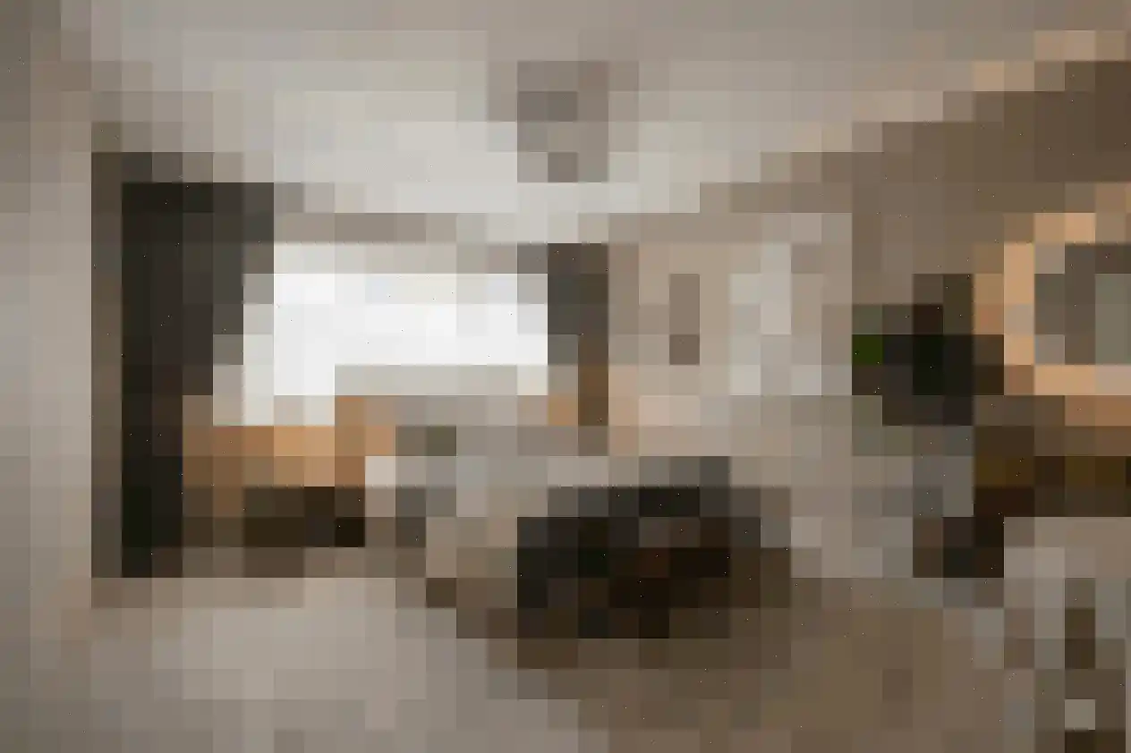 Ganzenhoek 12 Spijkenisse thumbnail 24