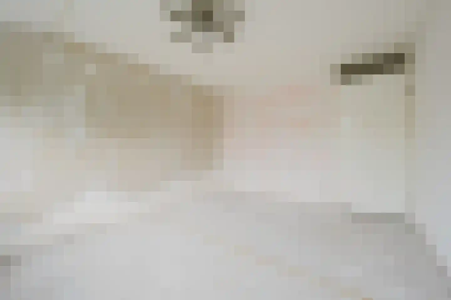Ganzenhoek 12 Spijkenisse thumbnail 25