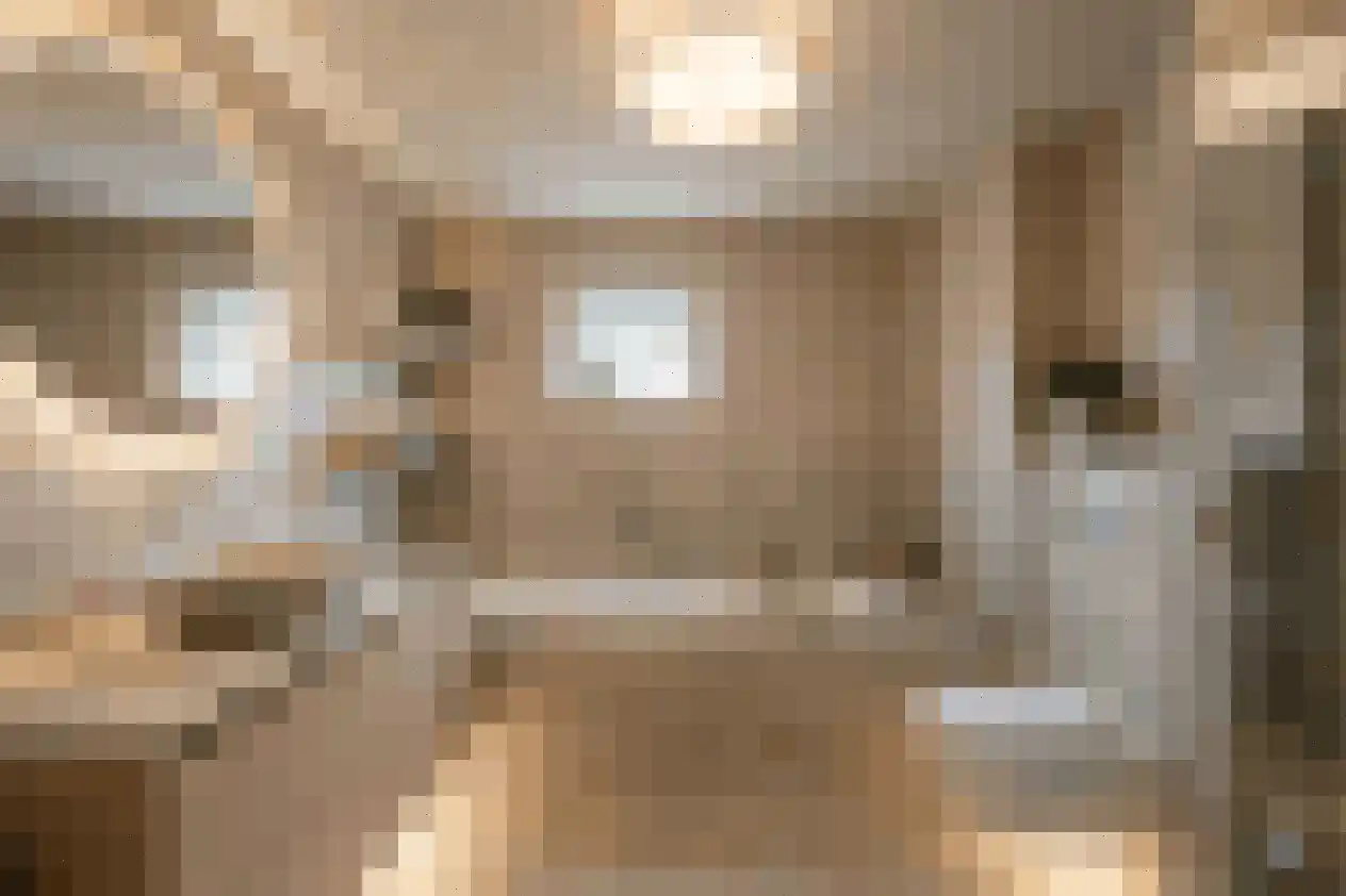 Ganzenhoek 12 Spijkenisse thumbnail 31