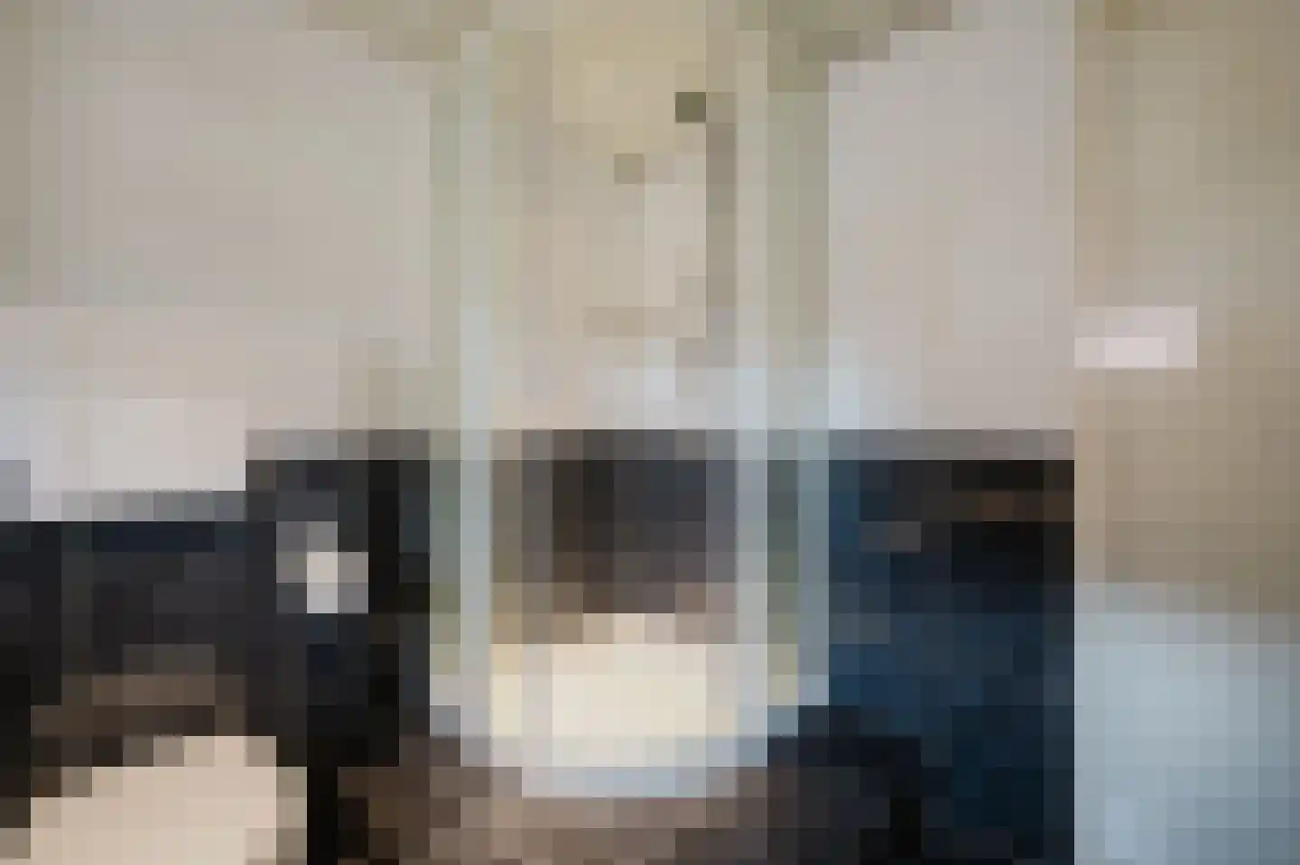 Ganzenhoek 12 Spijkenisse thumbnail 33