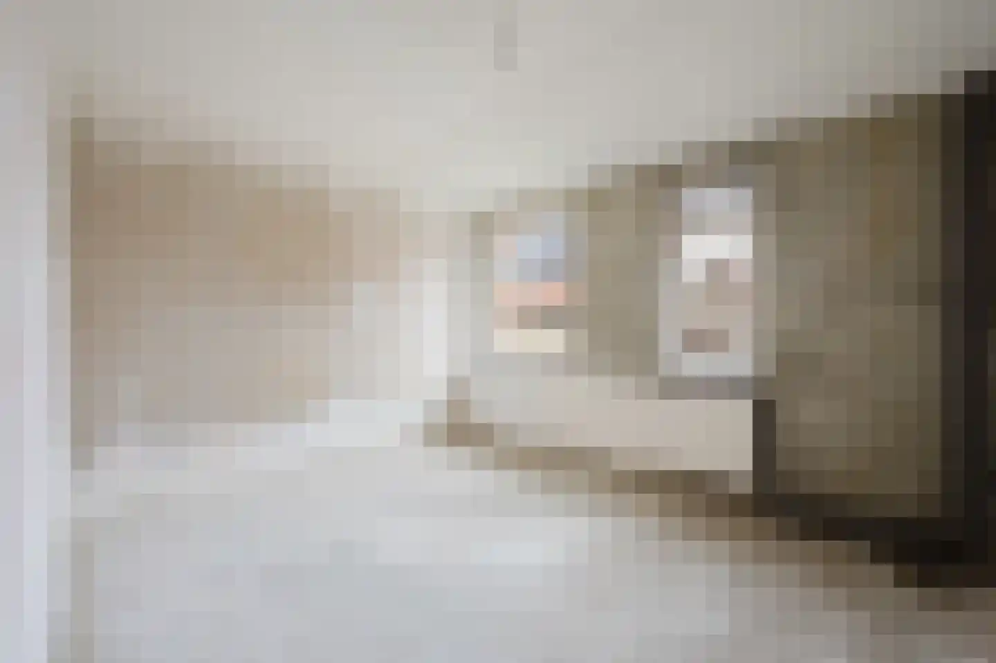 Ganzenhoek 12 Spijkenisse thumbnail 34
