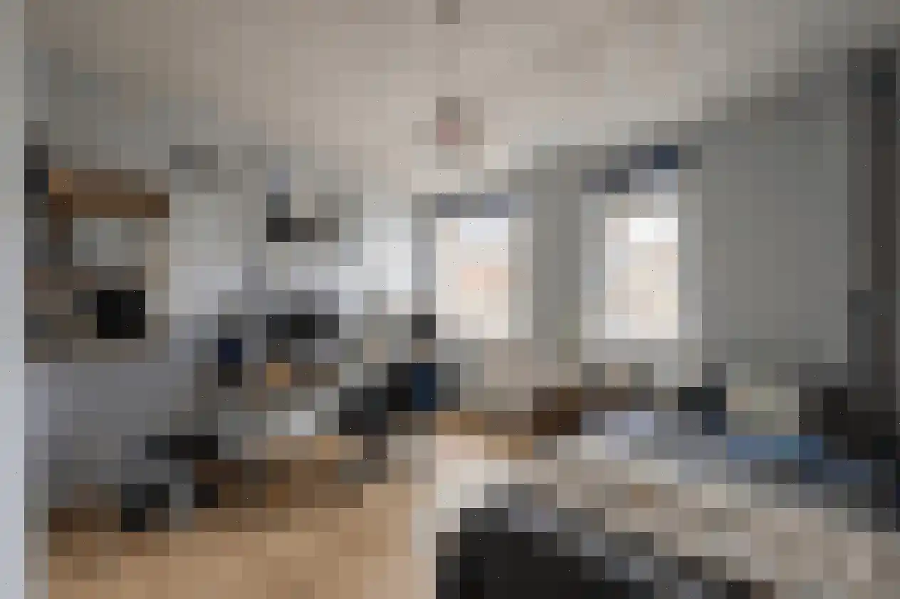 Ganzenhoek 12 Spijkenisse thumbnail 35