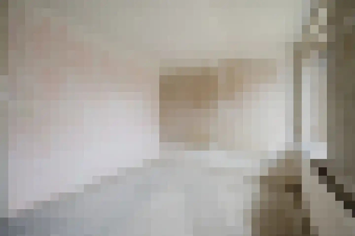 Ganzenhoek 12 Spijkenisse thumbnail 36