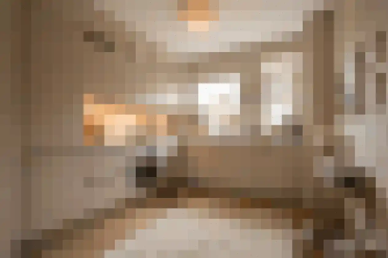 Ganzenhoek 12 Spijkenisse thumbnail 5