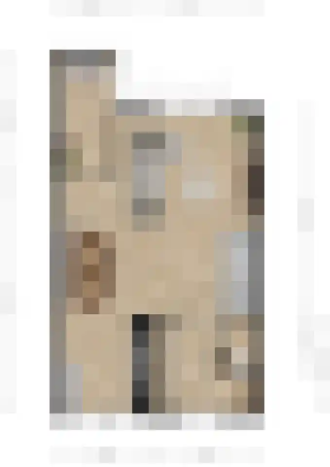Ganzenhoek 12 Spijkenisse thumbnail 7