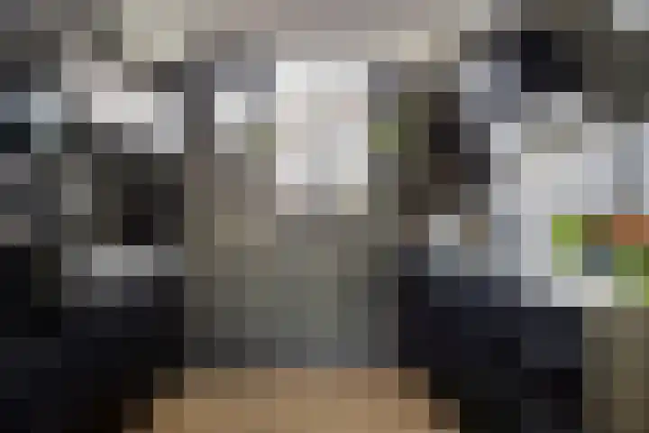 Ganzenhoek 44 Spijkenisse thumbnail 10