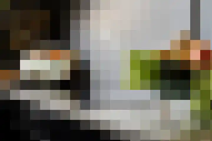 Ganzenhoek 44 Spijkenisse thumbnail 11