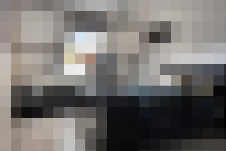Ganzenhoek 44 Spijkenisse thumbnail 12