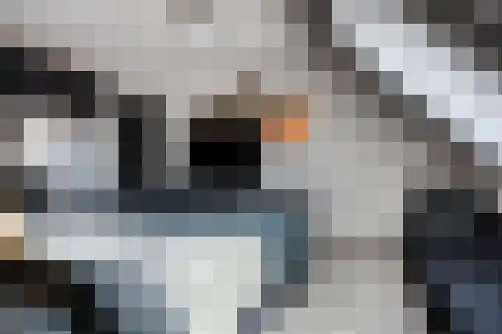 Ganzenhoek 44 Spijkenisse thumbnail 13