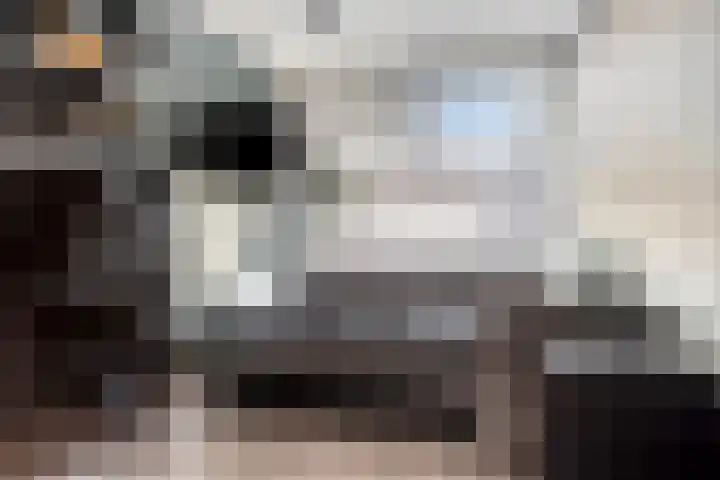 Ganzenhoek 44 Spijkenisse thumbnail 17