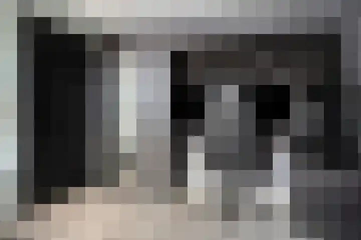Ganzenhoek 44 Spijkenisse thumbnail 18