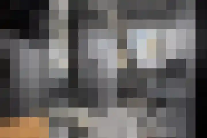 Ganzenhoek 44 Spijkenisse thumbnail 19
