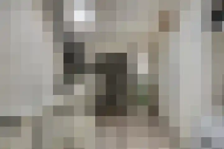 Ganzenhoek 44 Spijkenisse thumbnail 20