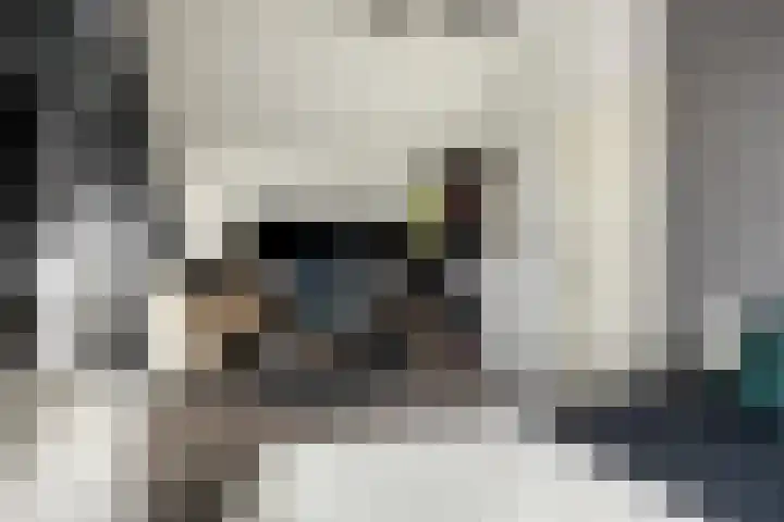 Ganzenhoek 44 Spijkenisse thumbnail 22