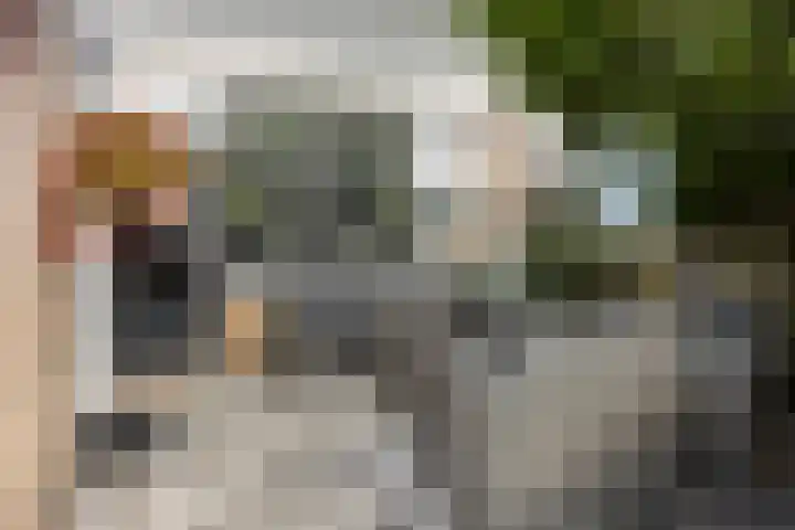 Ganzenhoek 44 Spijkenisse thumbnail 23