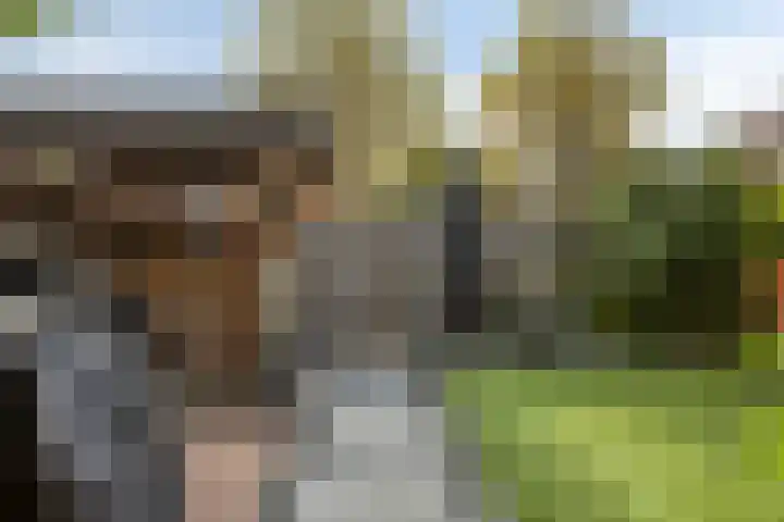 Ganzenhoek 44 Spijkenisse thumbnail 24