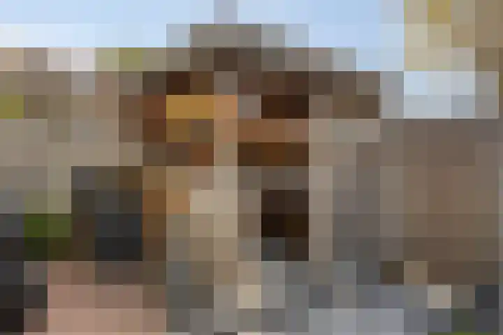 Ganzenhoek 44 Spijkenisse thumbnail 25