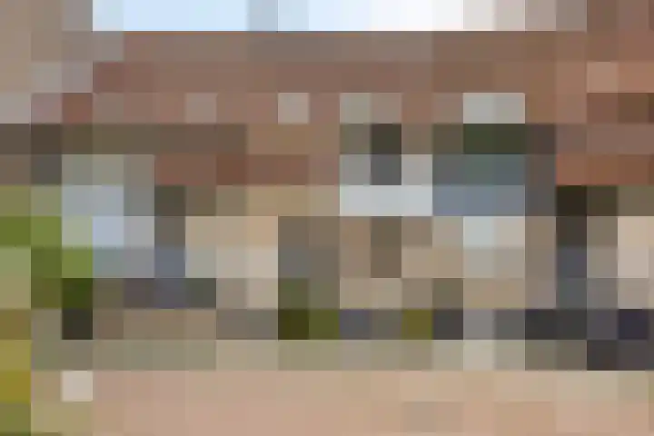 Ganzenhoek 44 Spijkenisse thumbnail 26