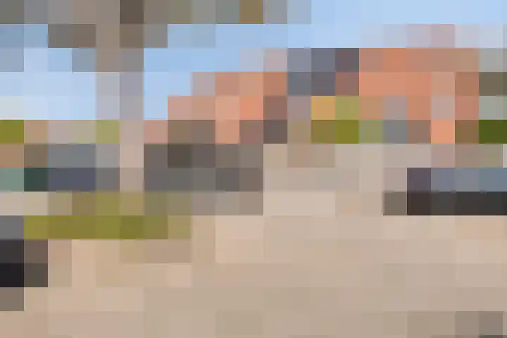 Ganzenhoek 44 Spijkenisse thumbnail 27
