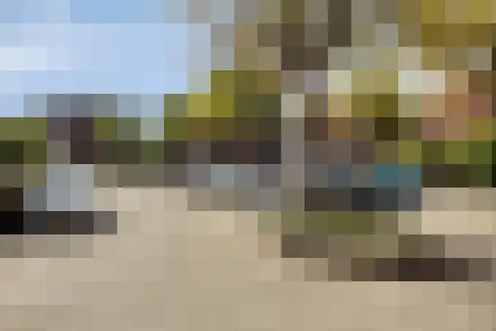 Ganzenhoek 44 Spijkenisse thumbnail 28