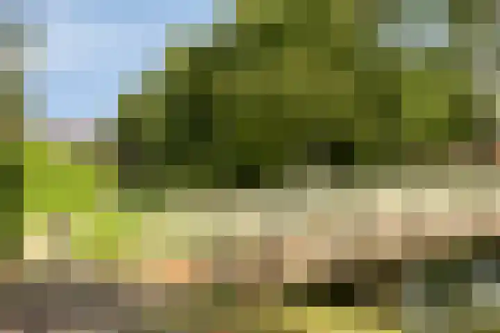 Ganzenhoek 44 Spijkenisse thumbnail 29