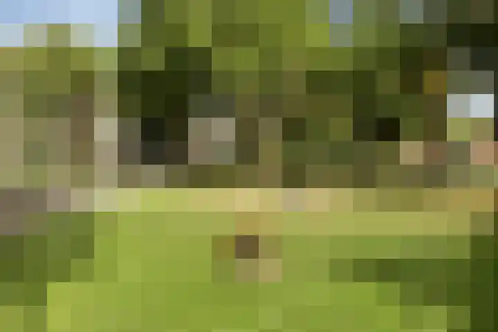 Ganzenhoek 44 Spijkenisse thumbnail 30