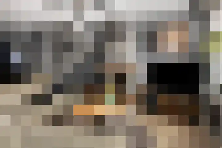 Ganzenhoek 44 Spijkenisse thumbnail 5