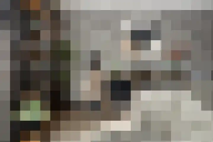 Ganzenhoek 44 Spijkenisse thumbnail 6