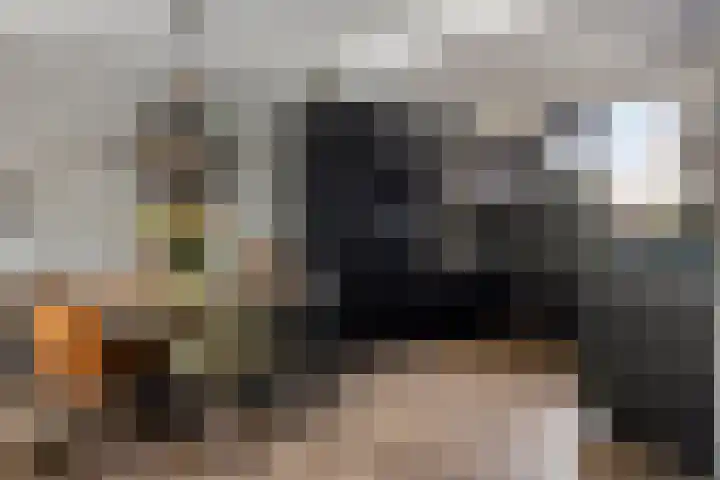 Ganzenhoek 44 Spijkenisse thumbnail 7