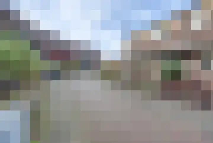 Ganzenhoek 45 Spijkenisse thumbnail 41
