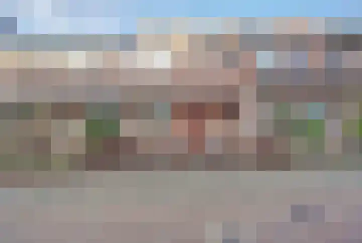 Ganzenhoek 45 Spijkenisse thumbnail 42