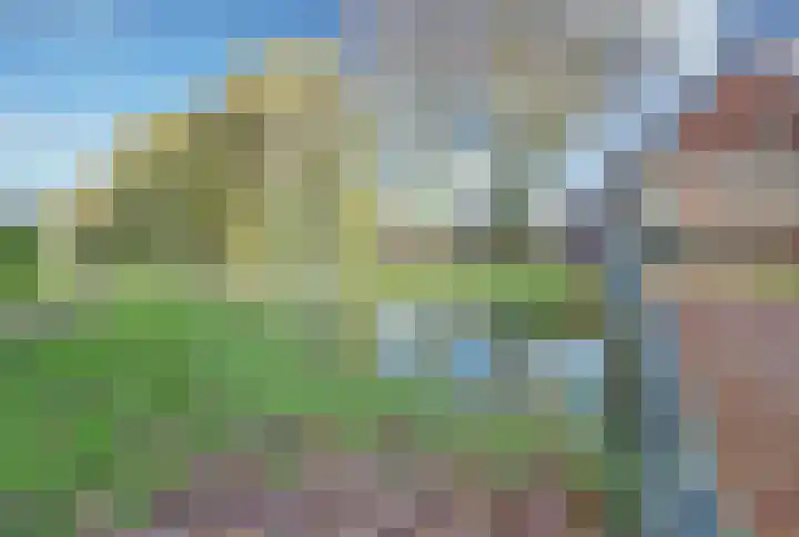 Ganzenhoek 45 Spijkenisse thumbnail 43