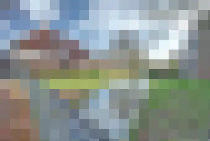 Ganzenhoek 45 Spijkenisse thumbnail 44