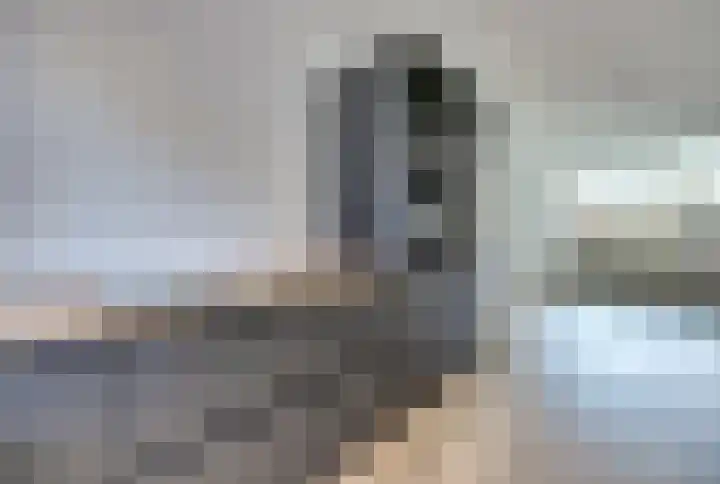Ganzenhoek 45 Spijkenisse thumbnail 5