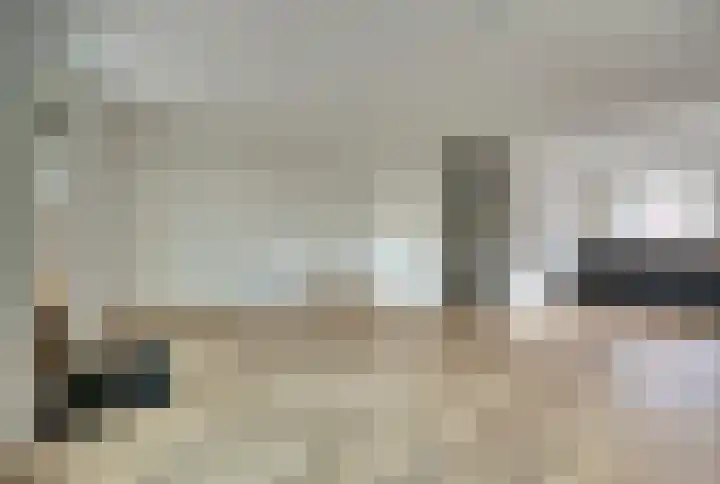Ganzenhoek 45 Spijkenisse thumbnail 9