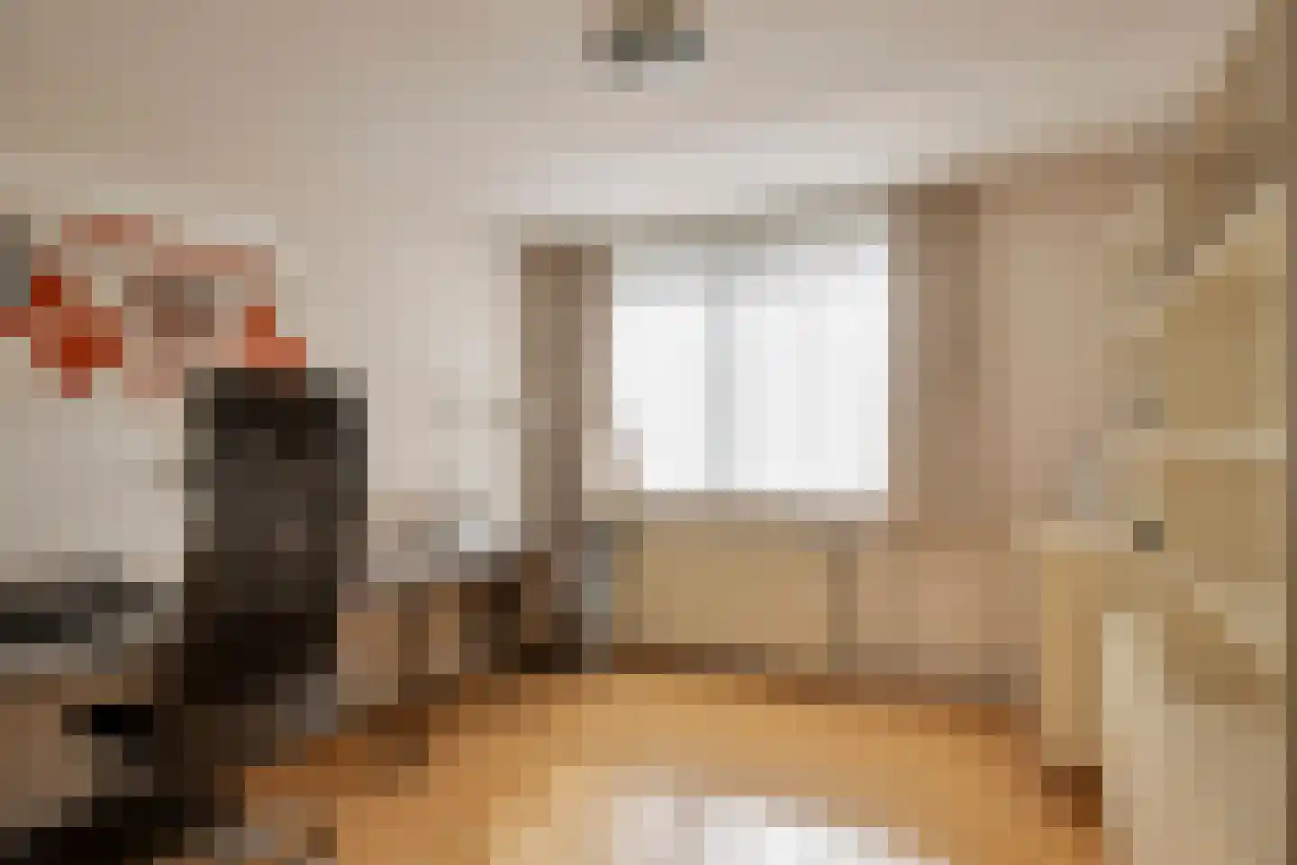 Ganzenhof 1 Made thumbnail 24