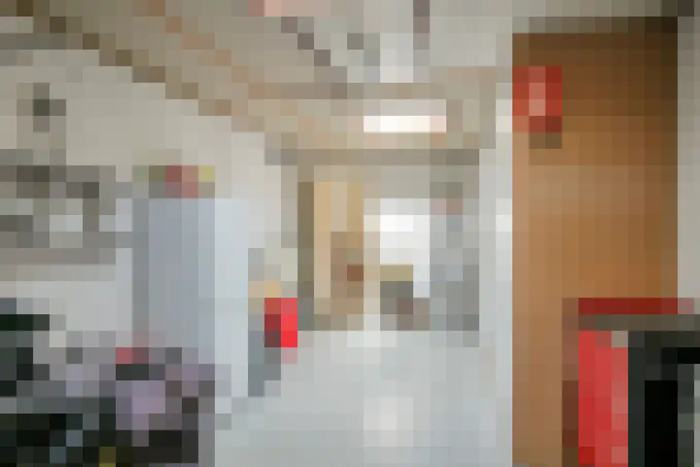 Ganzenhof 1 Made thumbnail 37
