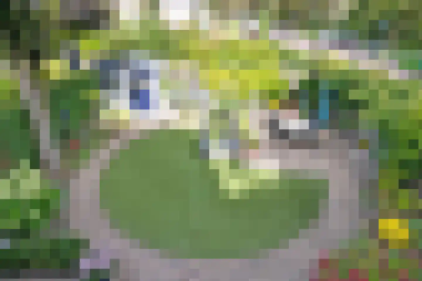 Ganzenhof 1 Made thumbnail 38