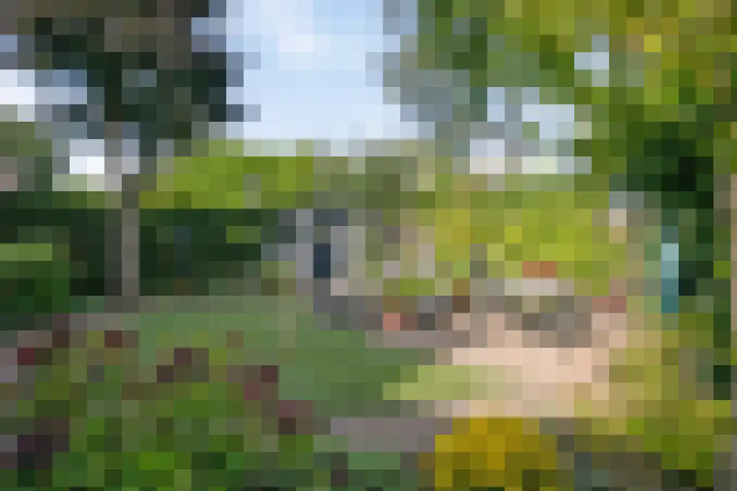 Ganzenhof 1 Made thumbnail 44