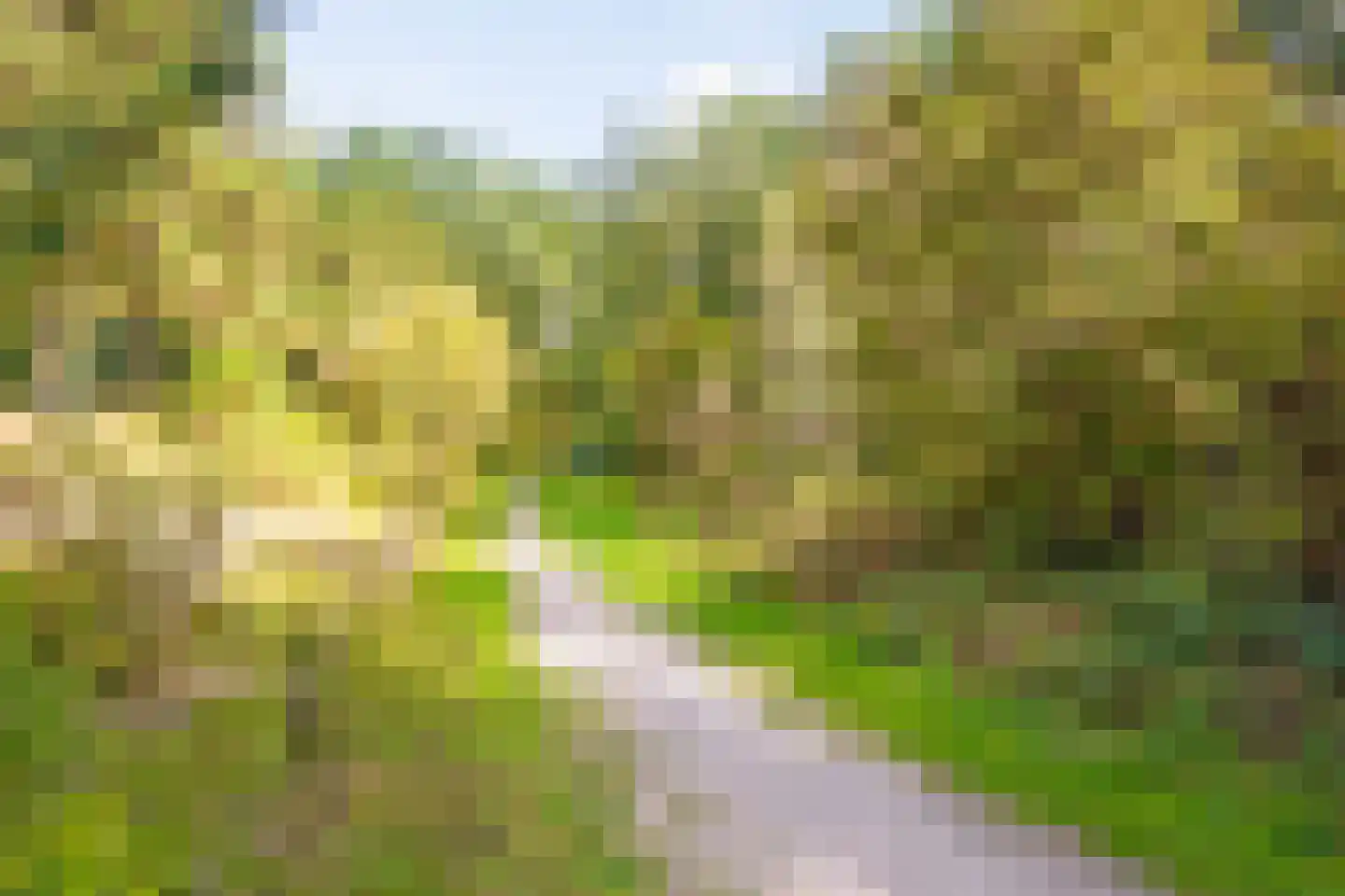 Ganzenhof 1 Made thumbnail 45