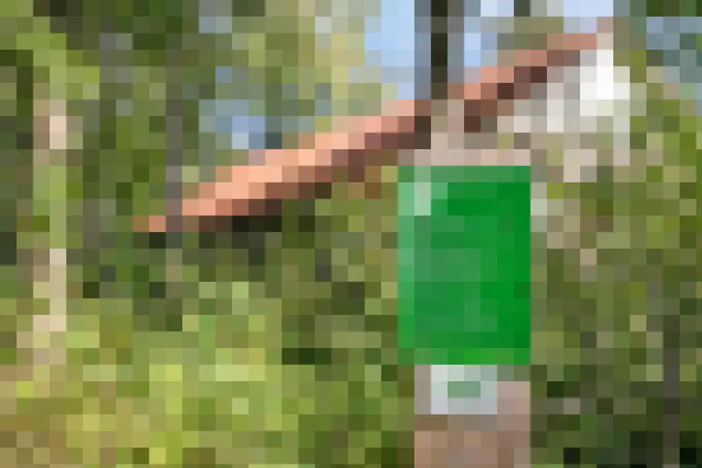 Ganzenhof 1 Made thumbnail 46