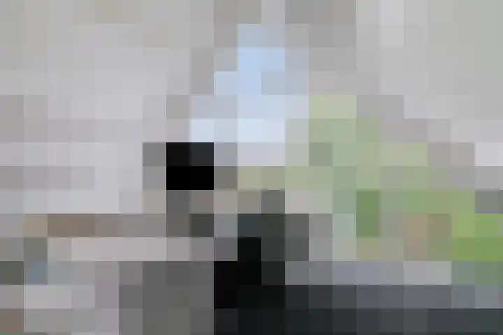 Ganzenhof 13 Ouderkerk aan den IJssel thumbnail 24