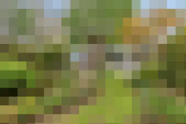 Ganzenhof 13 Ouderkerk aan den IJssel thumbnail 28