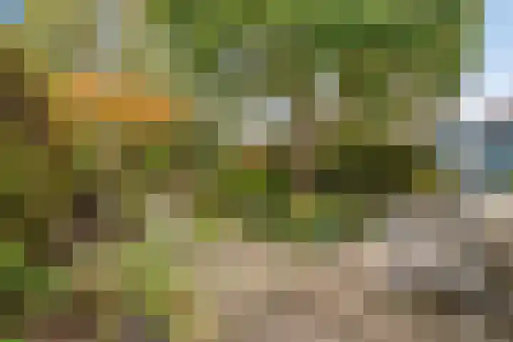 Ganzenhof 13 Ouderkerk aan den IJssel thumbnail 30