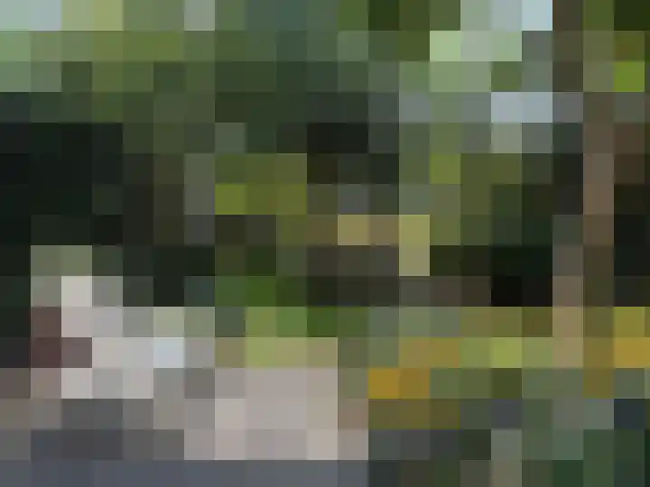 Ganzenhof 13 Ouderkerk aan den IJssel thumbnail 32