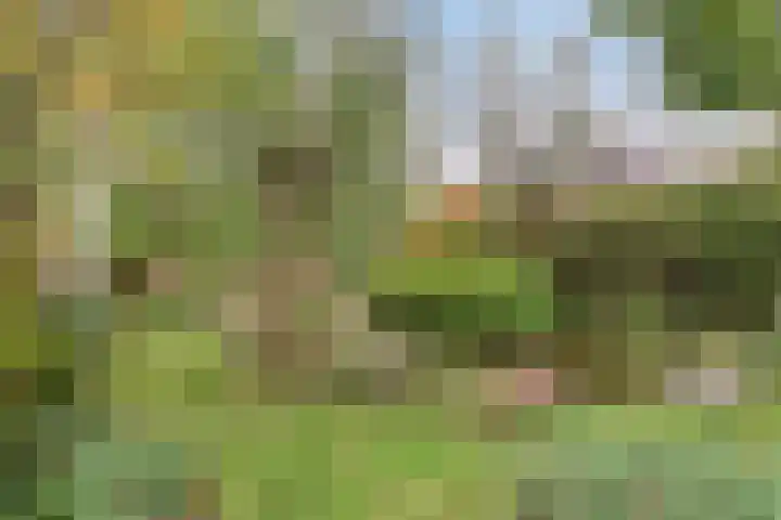 Ganzenhof 13 Ouderkerk aan den IJssel thumbnail 33