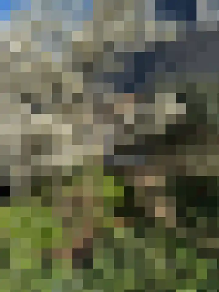 Ganzenhof 13 Ouderkerk aan den IJssel thumbnail 36