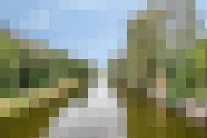 Ganzenhof 13 Ouderkerk aan den IJssel thumbnail 37
